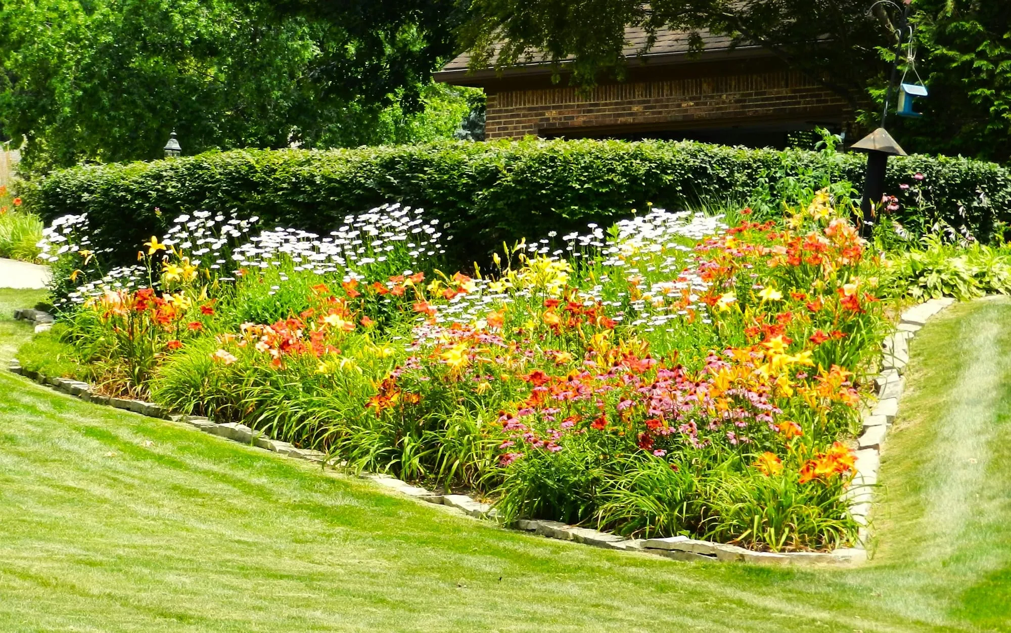 Flower bed full of orange and yellow blooms beside a lawn