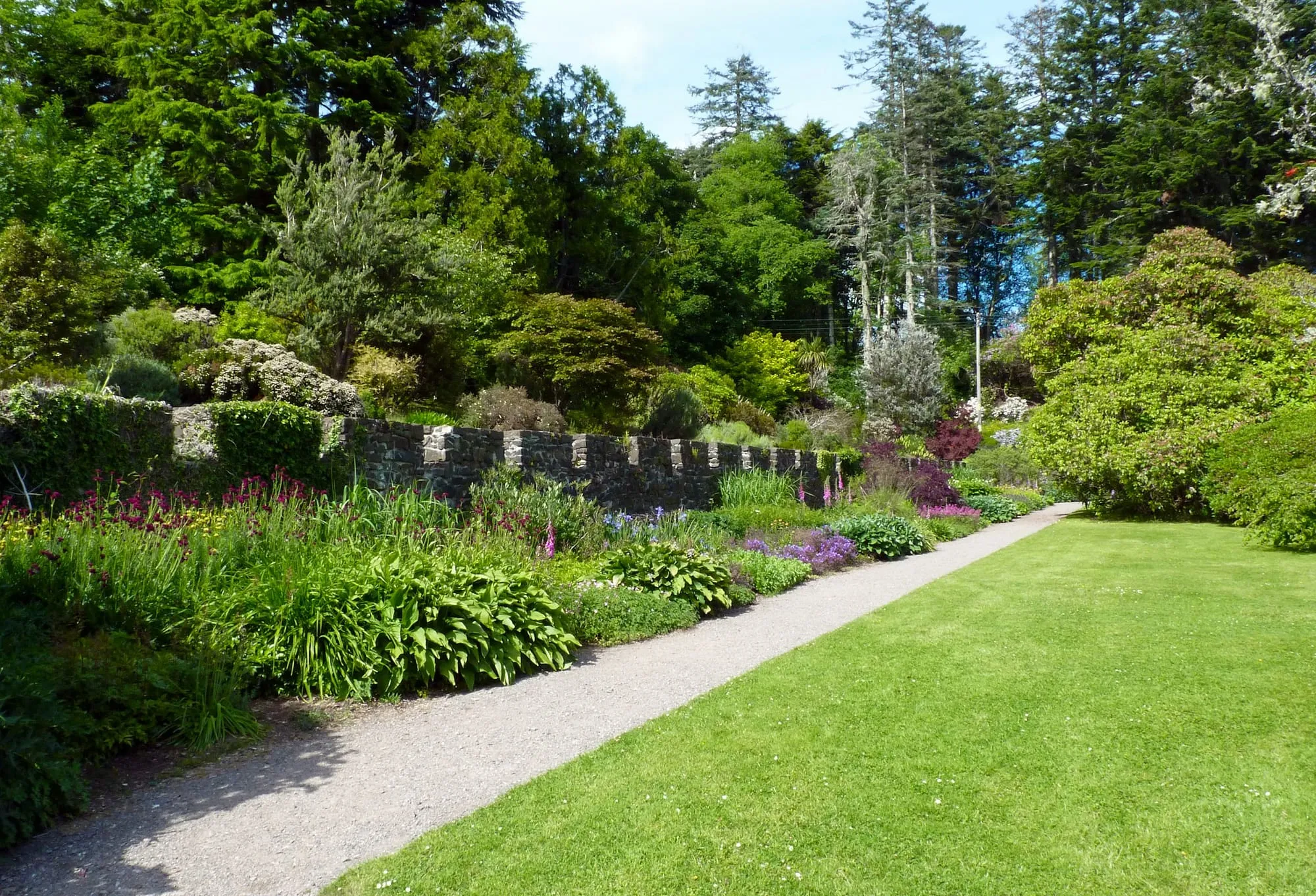 Gravel path between lawn and mixed planting
