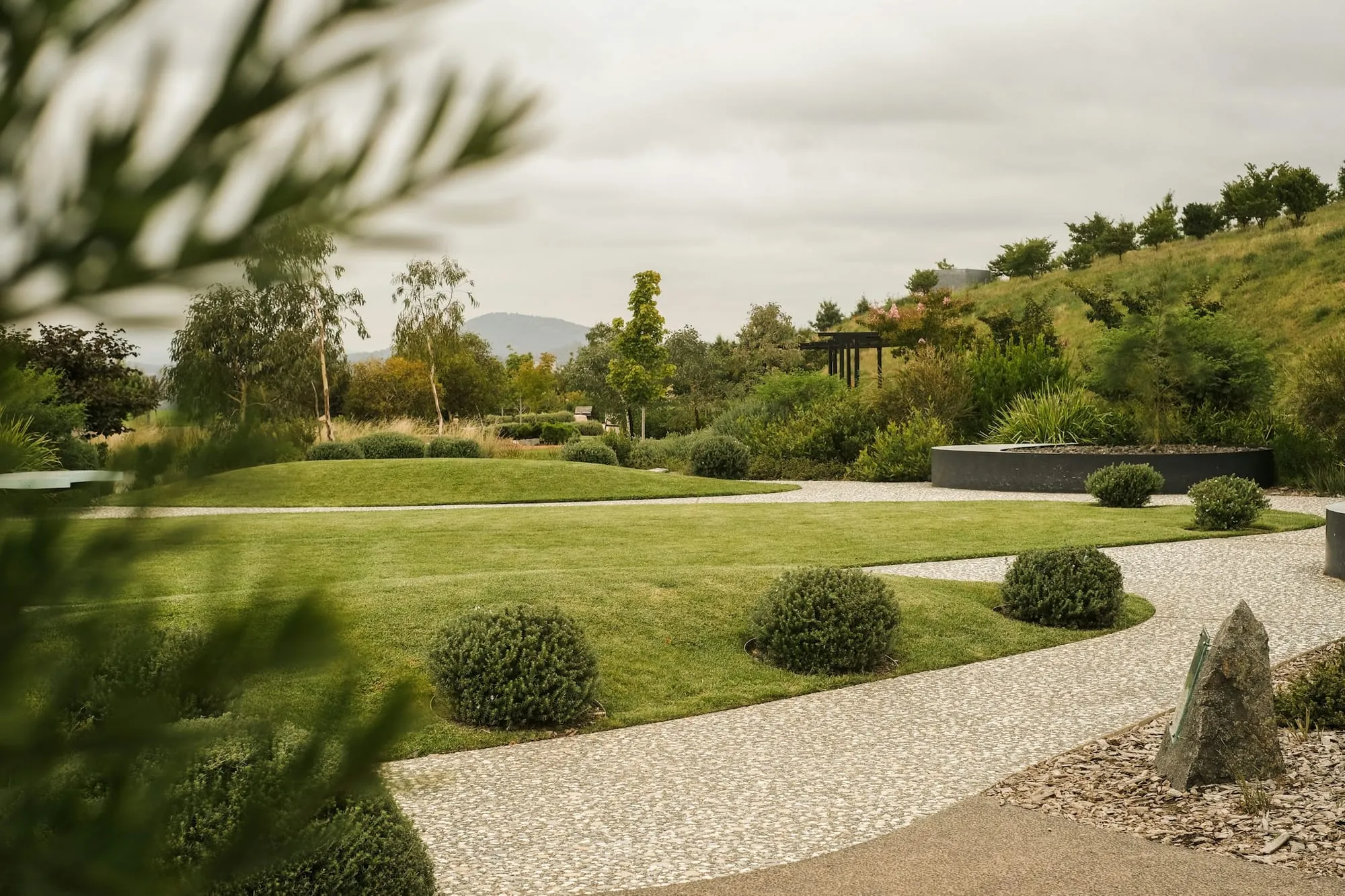 Rolling lawn with clipped shrubs and a gravel drive