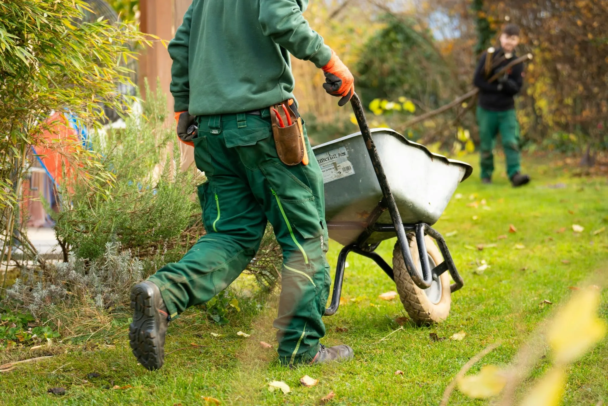 Crew member pushing a wheelbarrow across a lawn in autumn